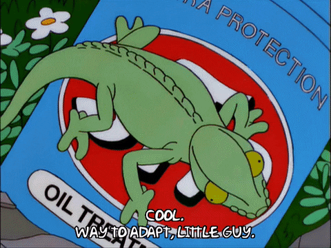 bart simpson chameleon GIF