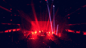 zhu GIF by Mind of a Genius