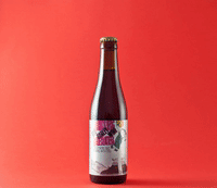 brewtalbox #bebrewtal #craftbeer GIF