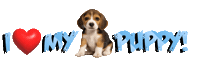 Guinea Pig Love Sticker