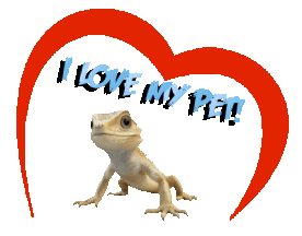 Guinea Pig Love Sticker