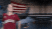 pitcher strikeout GIF by gamecocksonline