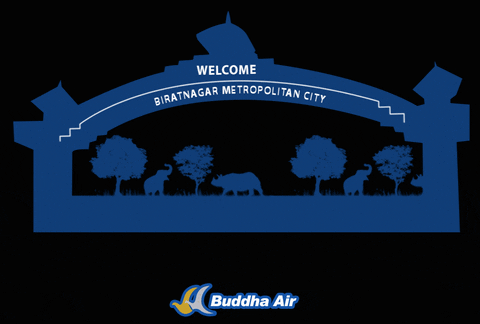 BuddhaAir giphyupload travel flight buddha air GIF