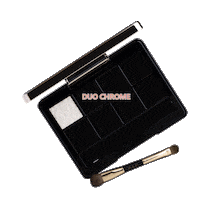 Cosmetics Eyeshadowpalette Sticker by PAC