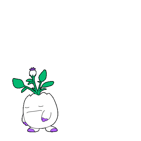 Paying Black Friday Sticker by Magic Eden