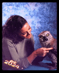 Pet Owl GIF by Originals