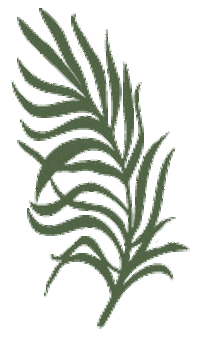 TheTerracebyLopera green plant garden leaf Sticker
