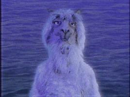 K GIF by Fall Out Boy