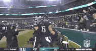2019 Nfl Football GIF by NFL