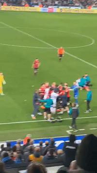 Brawl Interrupts Swansea City Match