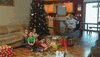scared santa claus GIF by America's Funniest Home Videos