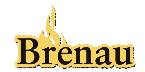 Georgia Flame Sticker by Brenau
