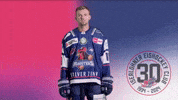 Cornel GIF by Iserlohn Roosters
