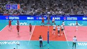 GIF by Volleyball World