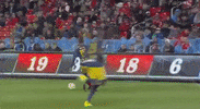 mls toronto GIF by nss sports