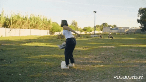 GIF by Taskmaster Portugal