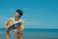 Jin Bts Beach GIF