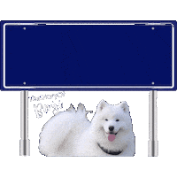 Amsterdam Adam Sticker