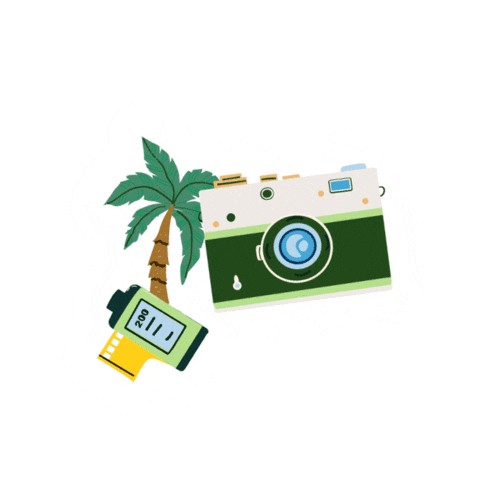 Hair Mexico Sticker by Covet & Mane