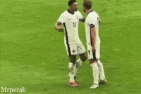World Cup Fan GIF