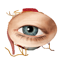 Art Loop Sticker by 3D4Medical From Elsevier