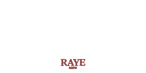 Hard Out Here Sticker by Raye