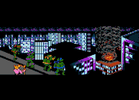 teenage mutant ninja turtles nintendo GIF