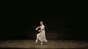Swanlake GIF by English National Ballet