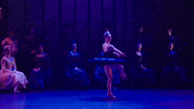 Swanlake GIF by English National Ballet