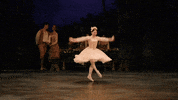 Swanlake GIF by English National Ballet