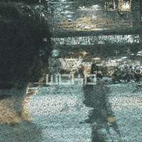 war win GIF