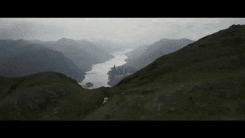GIF by Collider