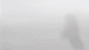 Huntington University GIF by FDN Sports
