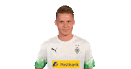 Nico Elvedi Bundesliga Sticker by Borussia Mönchengladbach