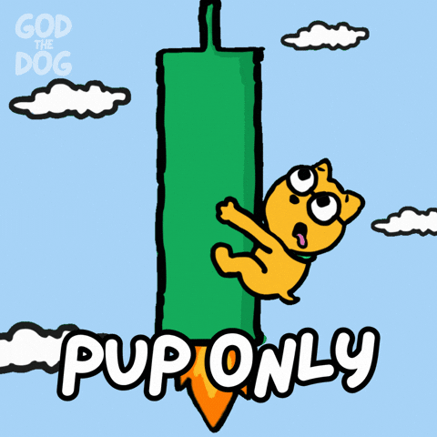 Pump It Candle GIF by God The Dog