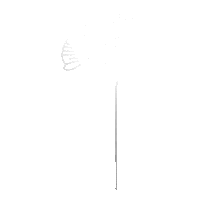 Flower Ginkgo Sticker by Stereo Productions