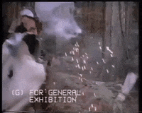 battle for endor wicket GIF by mdleone