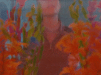 dont feel like crying GIF by Sigrid