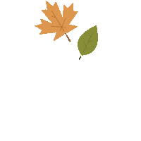 lauraleonessa fall autumn leaves seasons Sticker