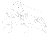 Charro Sticker