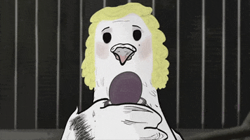 season 1 cats GIF by Animals