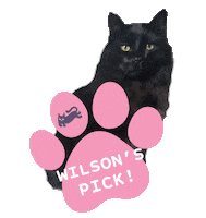 Cat Wilson Sticker by happycat
