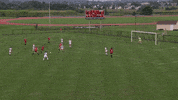 LafayetteLeopards soccer save womens soccer lafayette GIF