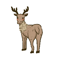 Look At Me Hello Sticker