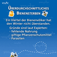 bees GIF by Mitteldeutscher Rundfunk