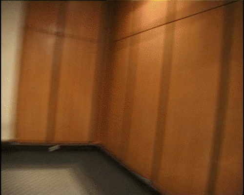 FDJ giphyupload happy dancing chicken GIF