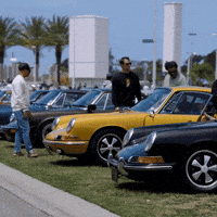 Race Porsche GIF by Dunlop Tire NA