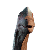 Walking With Dinosaurs Dinosaur Sticker by PBS