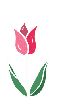 Pink Flower Sticker