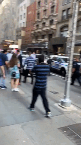 Pro-Israel and Pro-Palestinian Demonstrators Clash in Manhattan